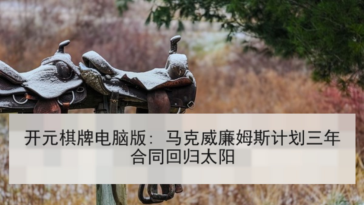 开元棋牌电脑版: 马克威廉姆斯计划三年合同回归太阳