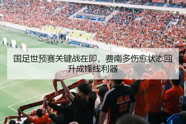国足世预赛关键战在即，费南多伤愈状态回升成锋线利器