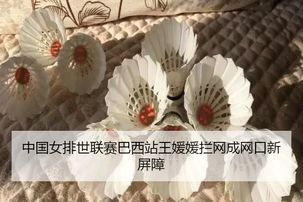 zhong-guo-nv-pai-shi-lian-sai-ba-xi-zhan-wang-yuan-yuan-lan-wang-cheng-wang-kou-xin-ping-zhang-2-559.jpg