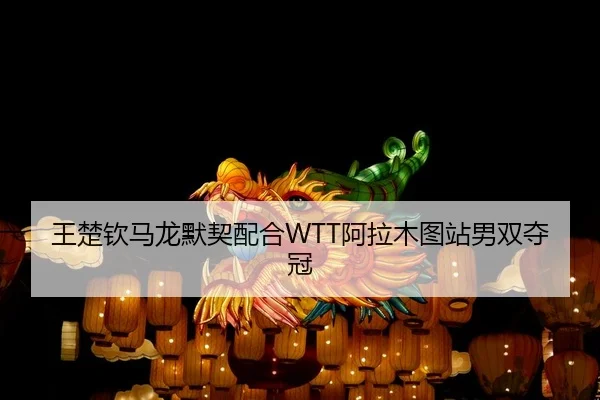 王楚钦马龙默契配合WTT阿拉木图站男双夺冠