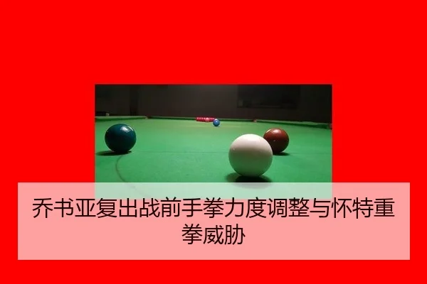 qiao-shu-ya-fu-chu-zhan-qian-shou-quan-li-du-tiao-zheng-yu-huai-te-zhong-quan-wei-xie-3-585.jpg