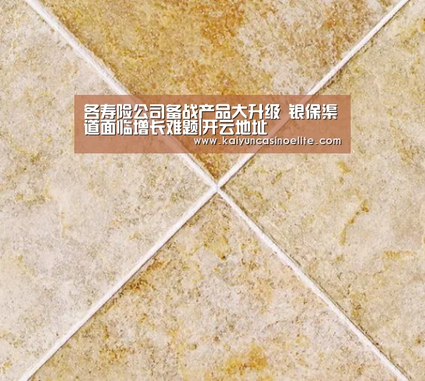 开云百家乐
