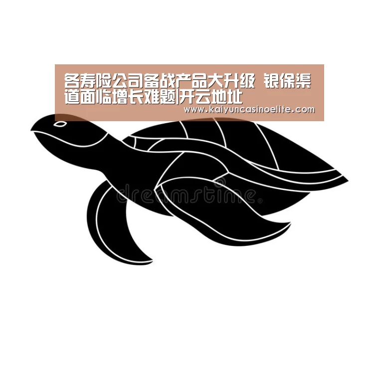 开云地址