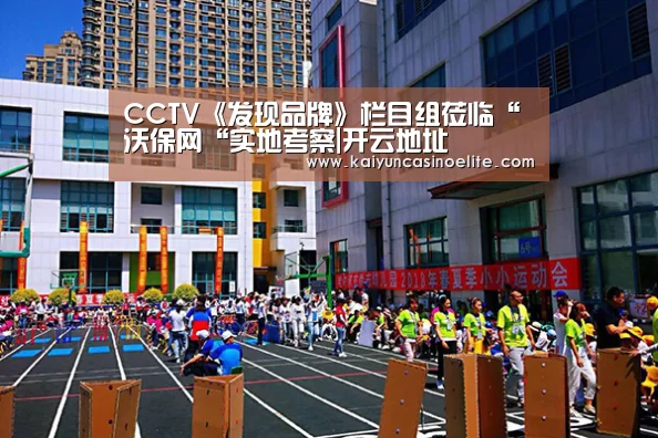 CCTV《发现品牌》栏目组莅临“沃保网“实地考察|开云地址(图1) 开云入口