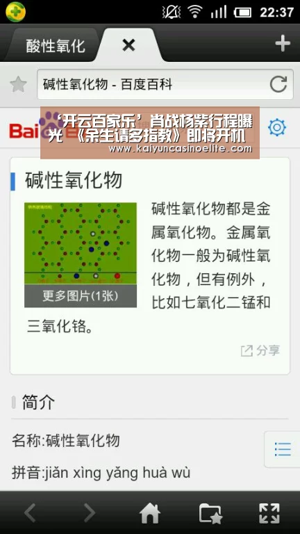 开云入口