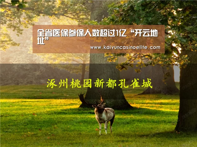 开云入口