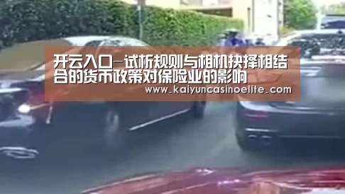 开云入口-试析规则与相机抉择相结合的货币政策对保险业的影响(图3) 开云入口