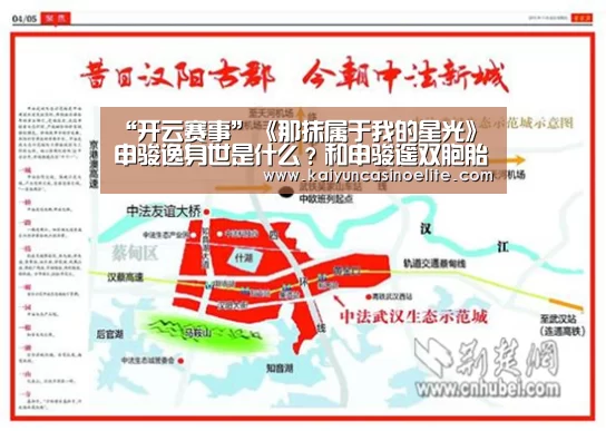 开云赛事