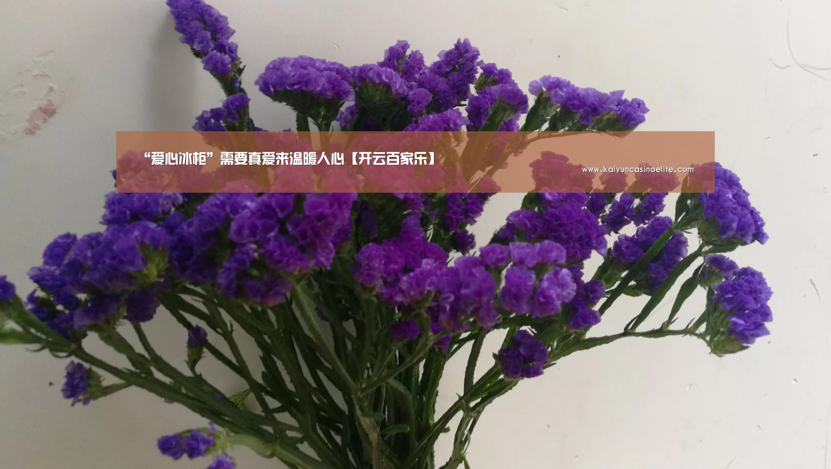 开云百家乐