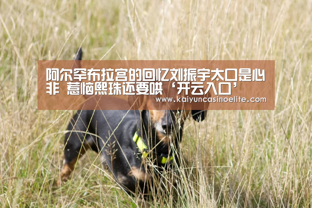 开云百家乐